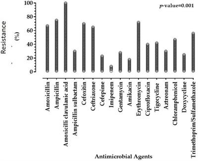 Antibacterial activity of bioactive compounds extracted from red kidney bean (Phaseolus vulgaris L.) seeds against multidrug-resistant Enterobacterales